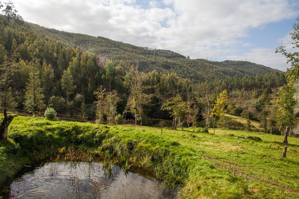 Casa De Campo "Quinta Do Cadafaz" Alvarenga Buitenkant foto
