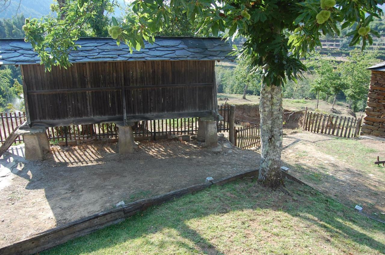 Casa De Campo "Quinta Do Cadafaz" Alvarenga Buitenkant foto